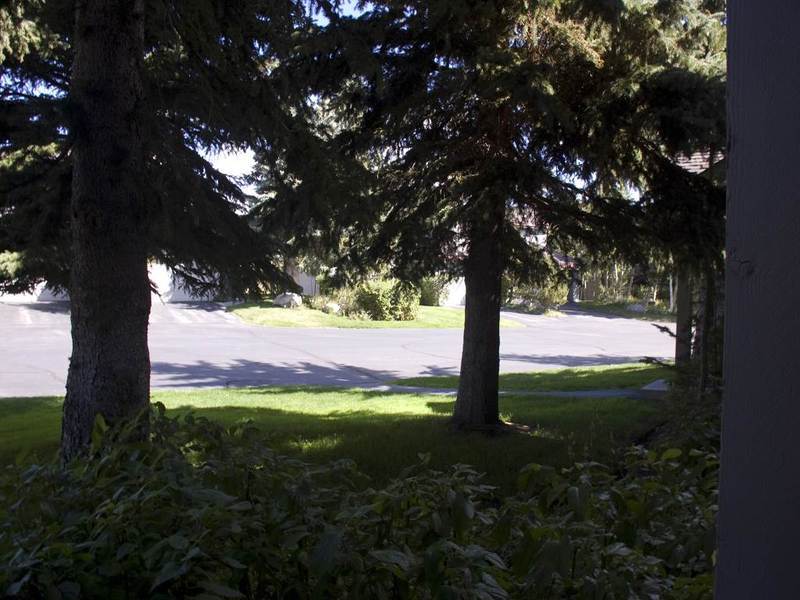 Snowcreek Resort Vacation Rentals ماموث لاكيس المظهر الخارجي الصورة